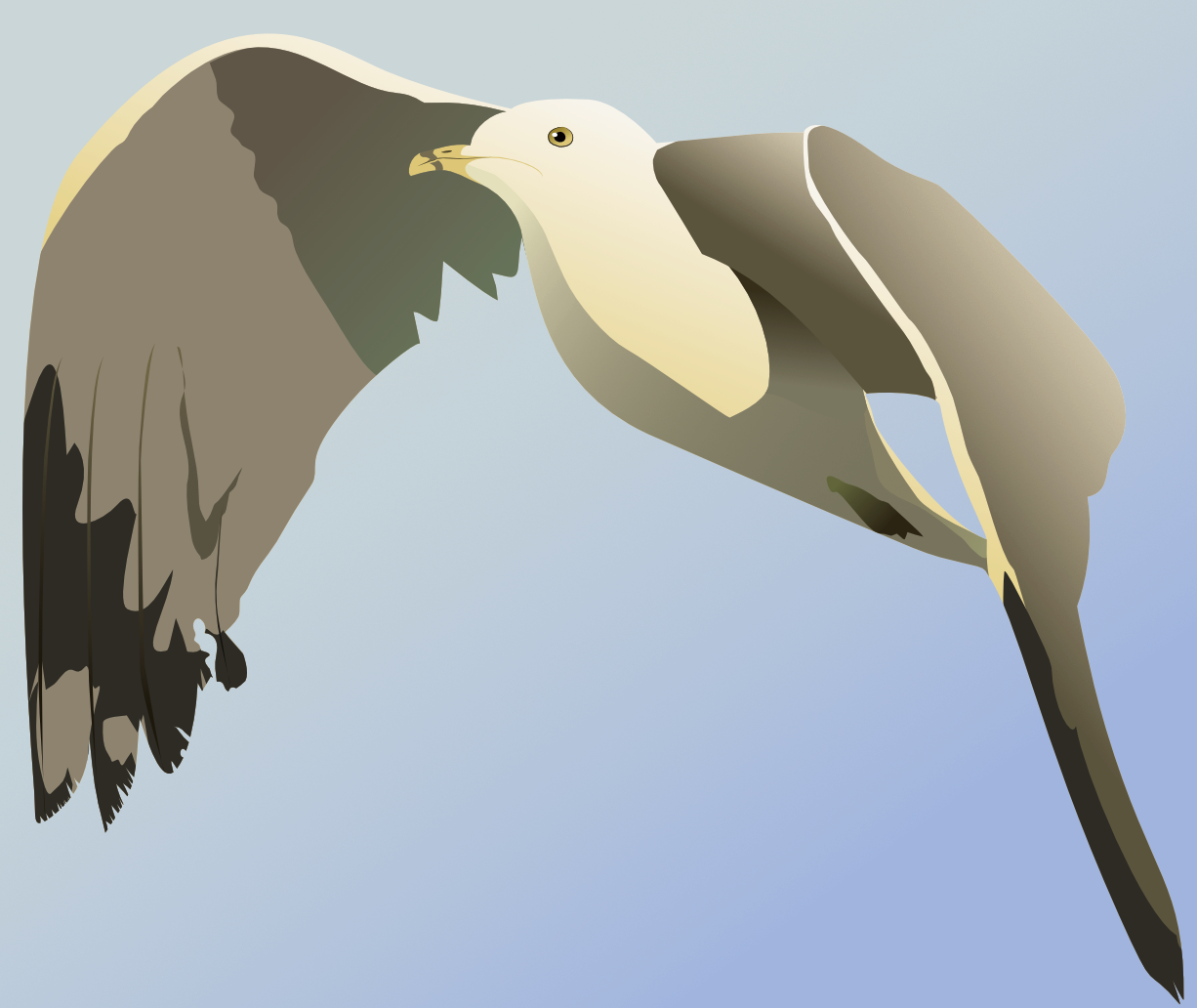 Load video: A screen recording showing how I design a seagull using vectors in Affinity Designer.